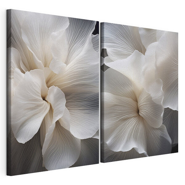 Soft petals in delicate harmony