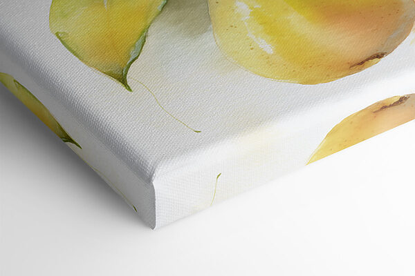 Watercolor painting of pears on a branch