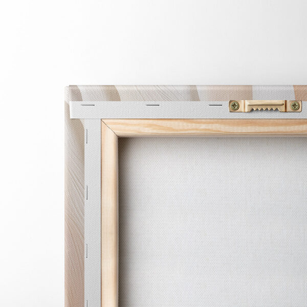 Soft curves in gentle hues