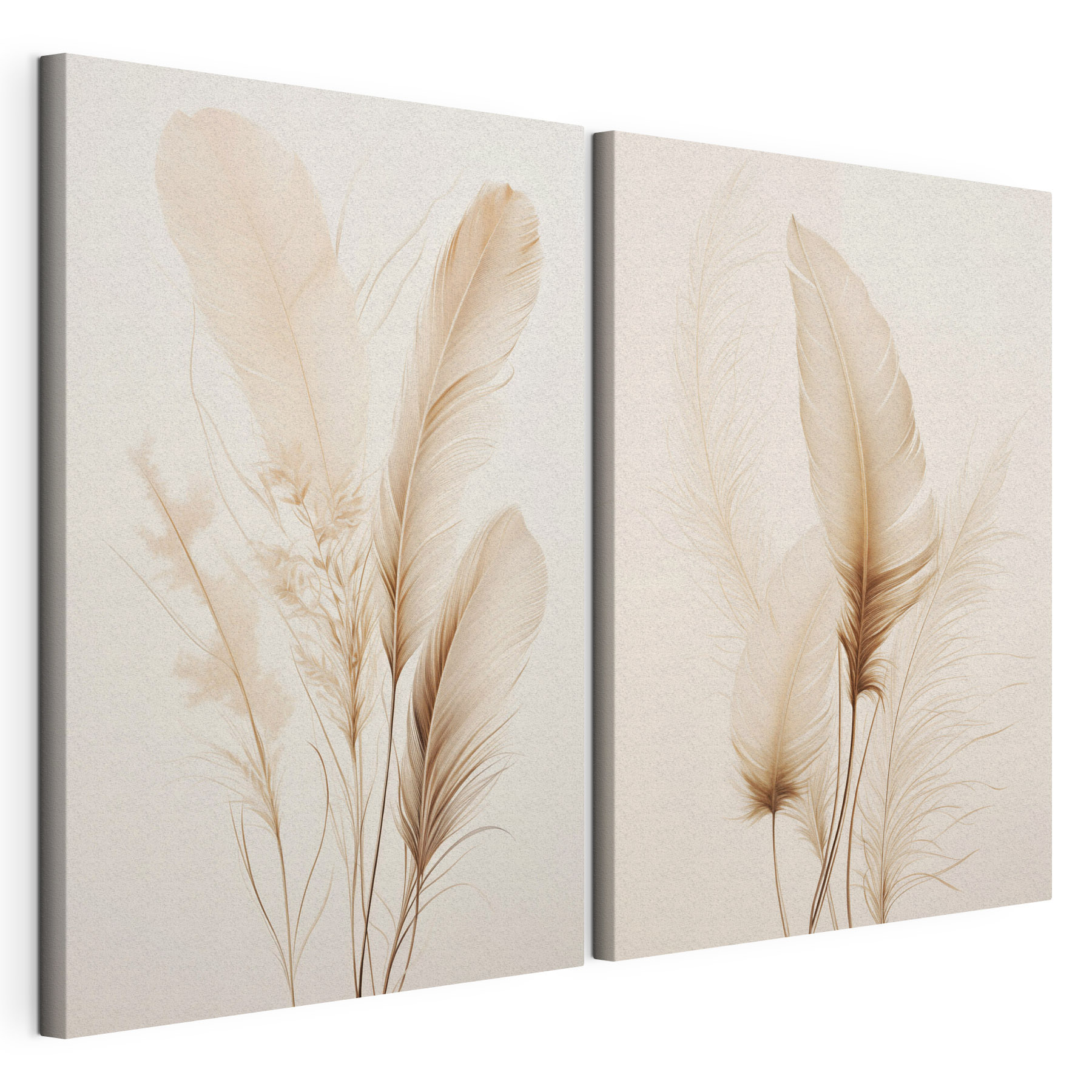 Delicate feathers softly arranged together