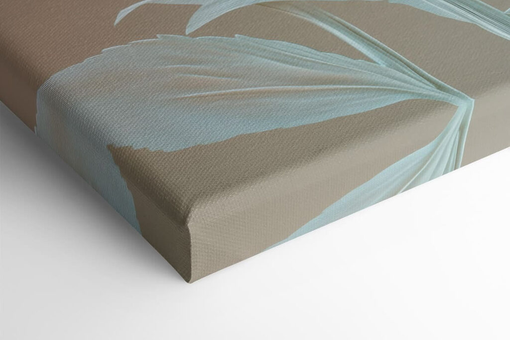 Collage of flowers