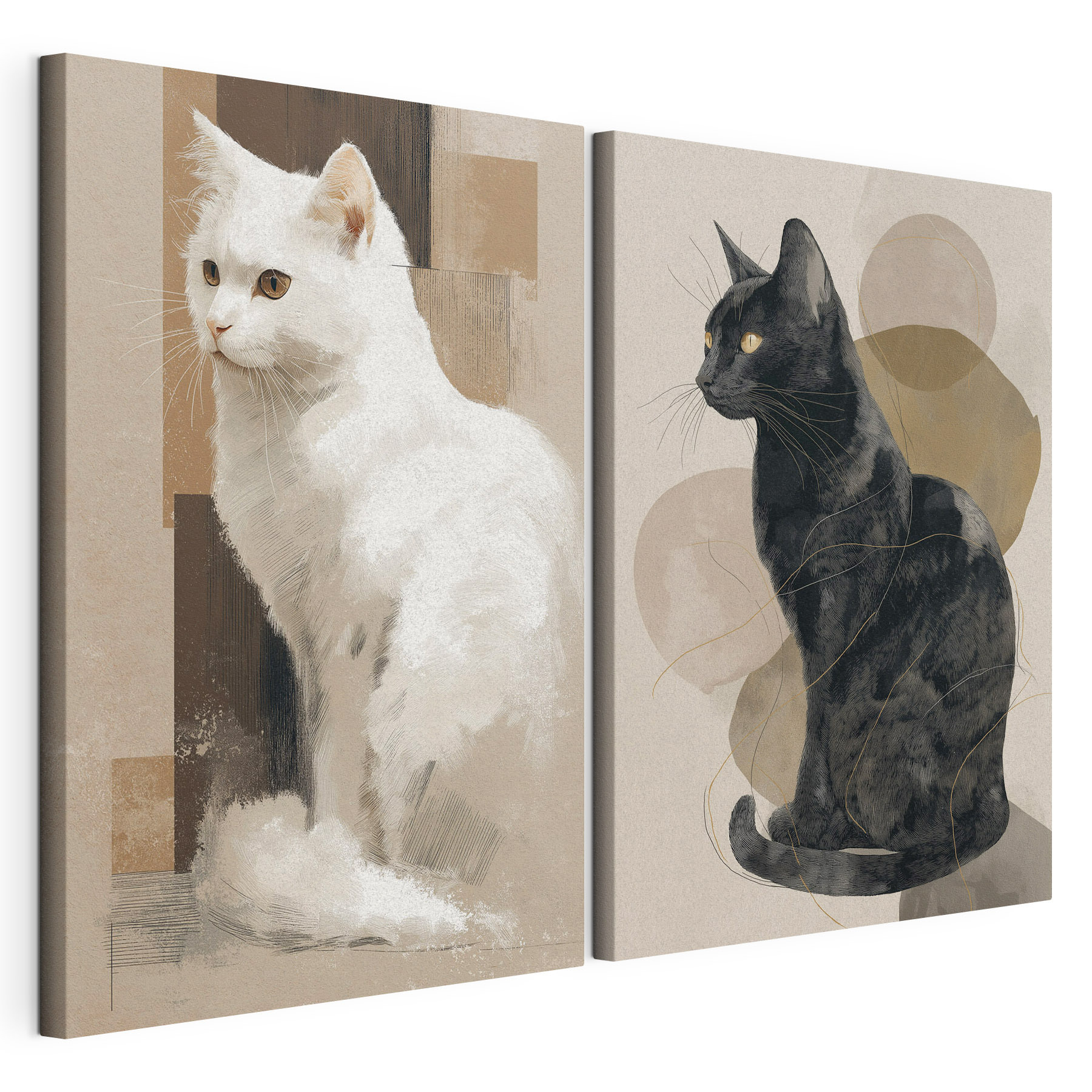 White cat and black cat