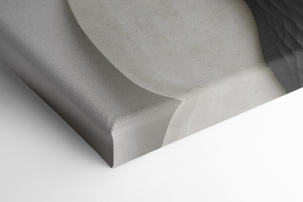Fluid shapes in contrasting colors