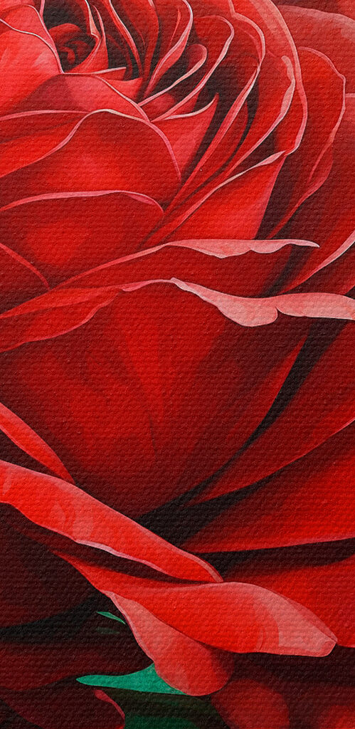 s40339pzvl 499x1024 - Des fleurs éclatantes en pleine floraison - tegory