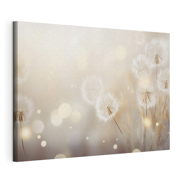 Dandelion seeds dancing in the breeze