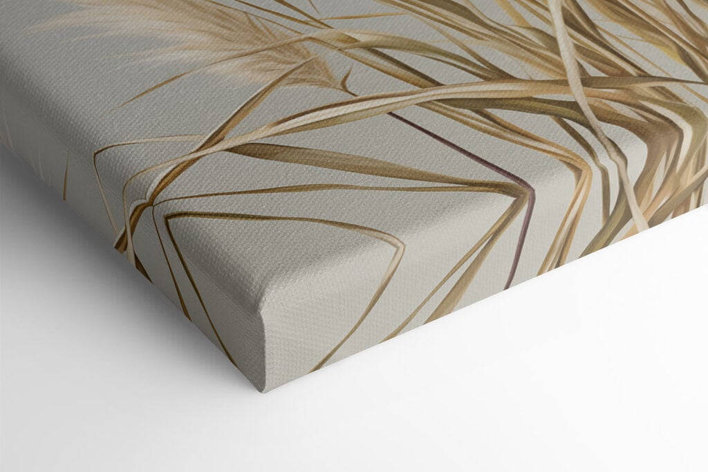Pampas grass in soft pastel tones