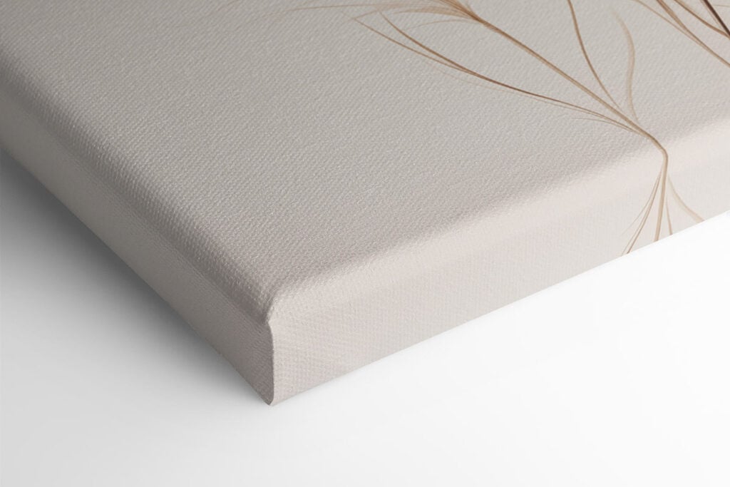 Delicate feathers in soft tones
