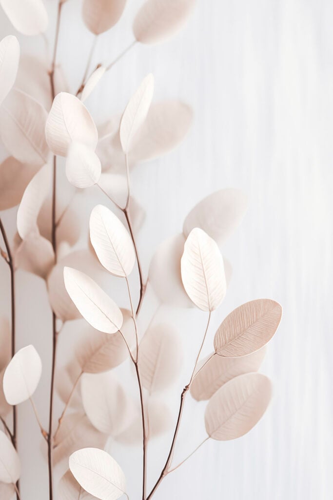 Delicate leaves against a soft background